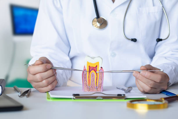 Best Broken or Cracked Tooth Emergency Dentist in Gleneagle, CO